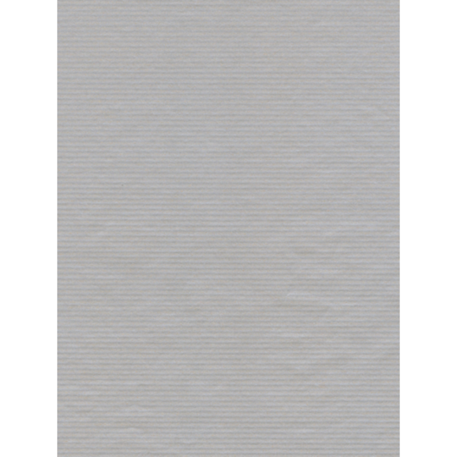 Cadeaupapier Unicolor Silver