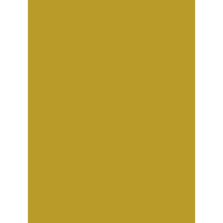 Cadeaupapier Unicolor Gold