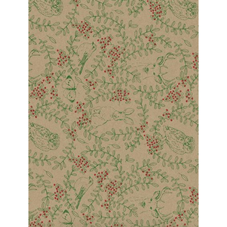 Cadeaupapier Secret Forest Green/Red
