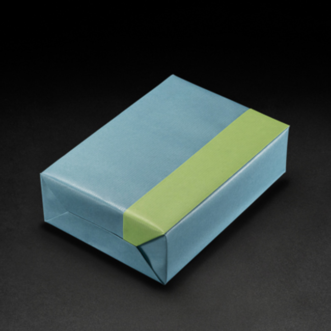 Cadeaupapier Uni Kraft Lichtblauw/Groen