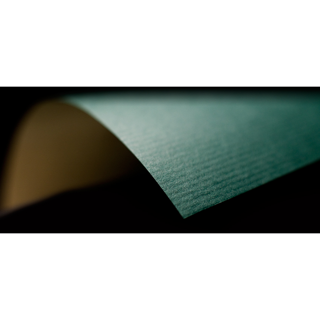 Cadeaupapier Uni Kraft Groen/Goud