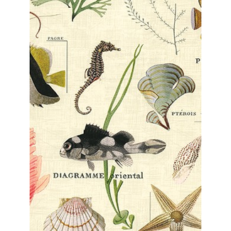 Cadeaupapier Sansibar Creme Cadeaupapier Sansibar Creme