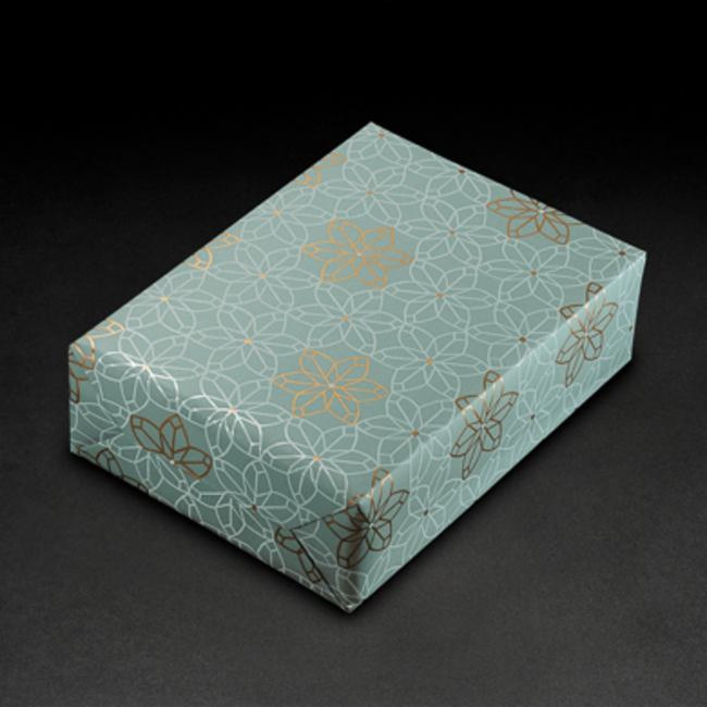 Cadeaupapier Aciano Salbei