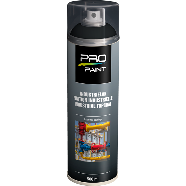 Pro-Paint Ral Ausbesserungslacke (Ral 7021) Schwarzgrau