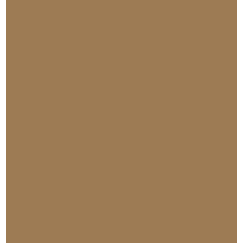 Vinylfolie Oracal mat mokka 641 - 081