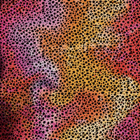 Cricut Cricut Infusible Ink Transfer Sheets Patterns Rainbow Cheetah | 2006773