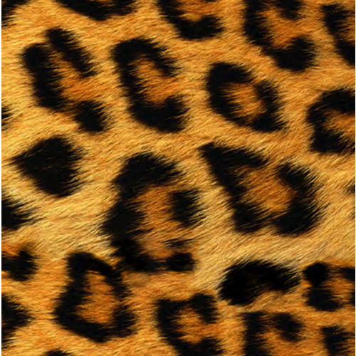 Siser Siser EasyPatterns Wild Leopard