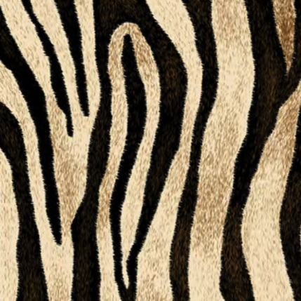 Siser Siser EasyPatterns Wild Zebra