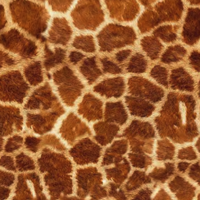 Siser Siser EasyPatterns Wild Giraffe