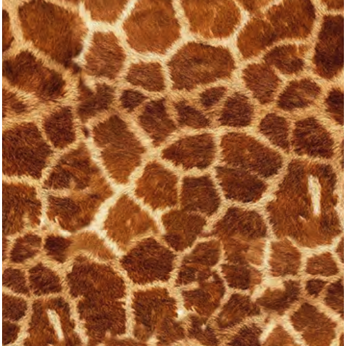 Siser Siser EasyPatterns Wild Giraffe