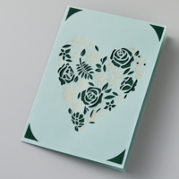 Cricut Cricut FOIL Transfer Insert Cards Cameron (R20-Medium-A2) | 2009204