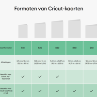 Cricut Cricut FOIL Transfer Insert Cards Celebration (R30-Large-A6)| 2009207