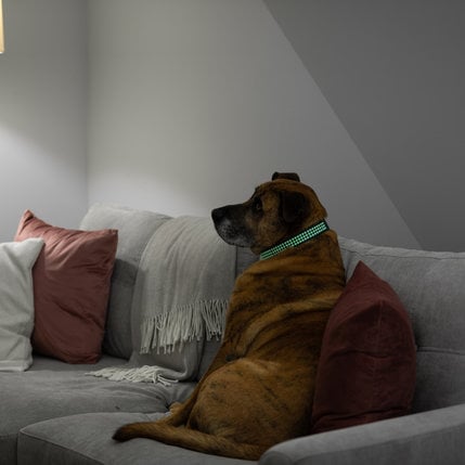 Cricut Cricut Glow in the Dark Iron on | 2011330