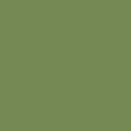 Flexfolie pistache groen