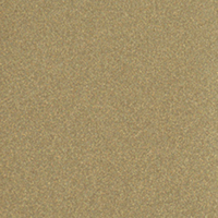 Glitterfolie Holografisch Goud - Holo Gold