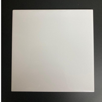 Blanco Tegel wit glanzend 15 x 15 (geschikt voor o.a. Sublimatie)