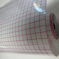 Transfer Tape (applicatietape) met raster