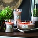 Woodwick Vanilla & Sea Salt Medium Candle Woodwick Vanilla & Sea Salt Medium Candle