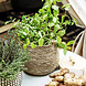 House Doctor mand Hang 18cm naturel House Doctor mand Hang 18cm naturel