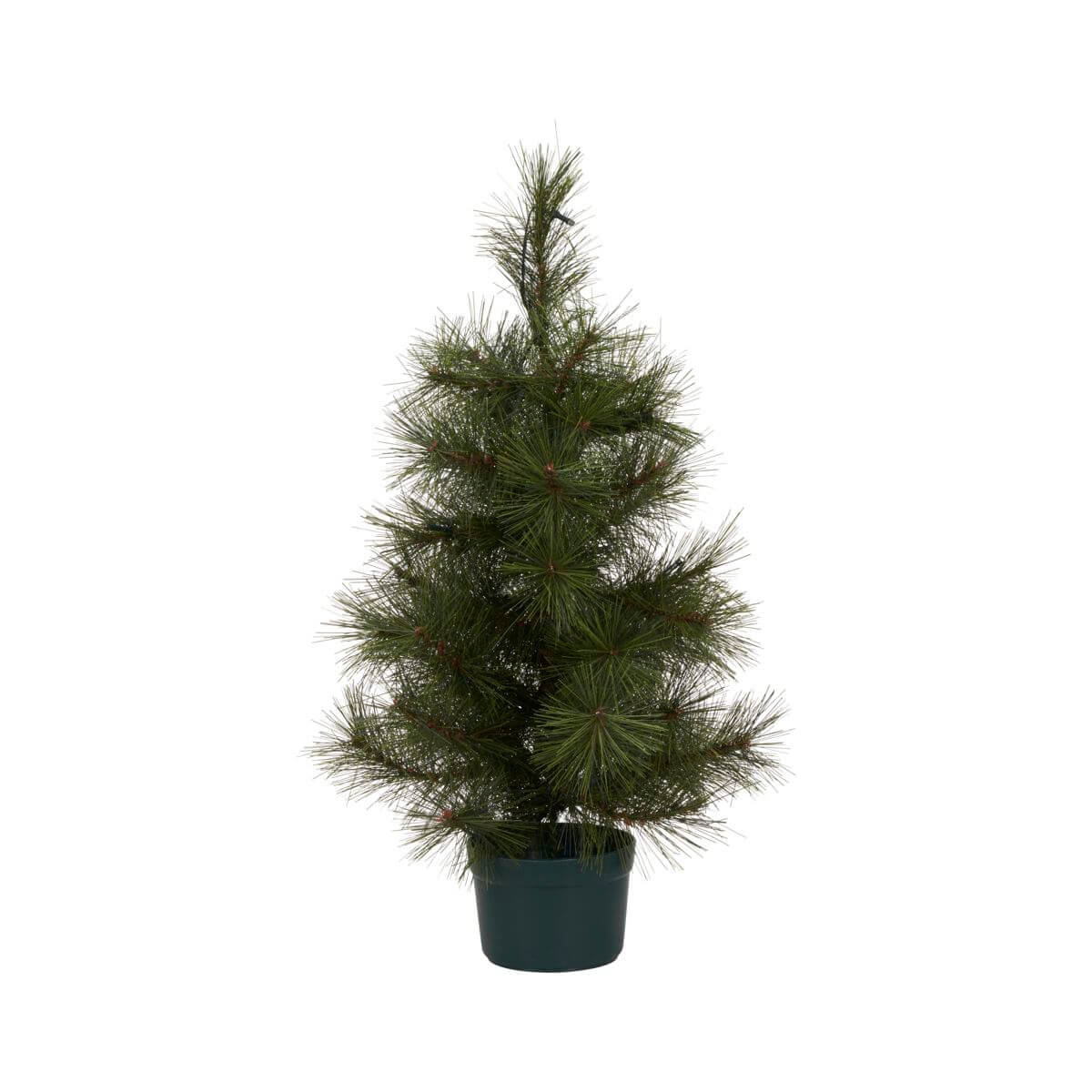 House Doctor Kerstboom Pinus 60cm