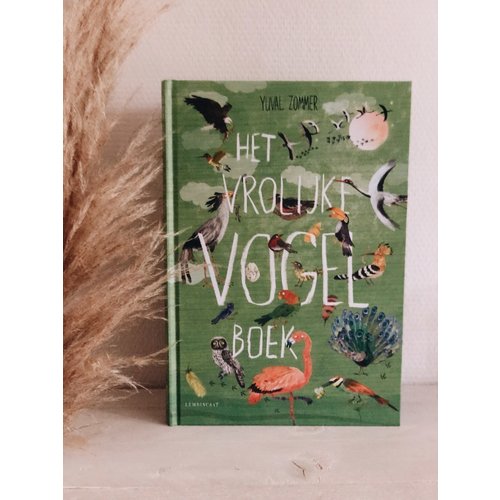Boeken Het Vrolijke Vogel boek - Yuval Zommer Boeken Het Vrolijke Vogel boek - Yuval Zommer