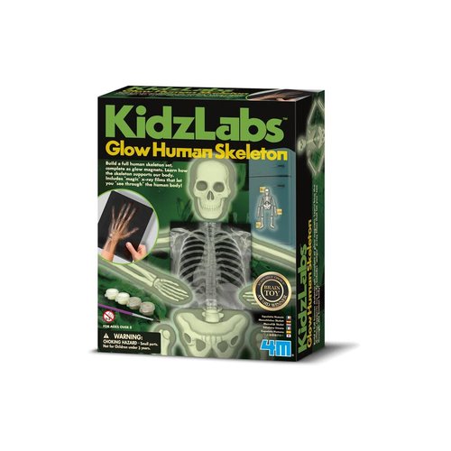 Overig KidzLabs | Human Science | Lichtgevend menselijk skelet Overig KidzLabs | Human Science | Lichtgevend menselijk skelet