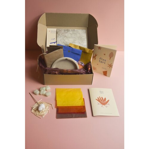 Flinsters Flinsters | Activiteitenbox Flinsters Flinsters | Activiteitenbox