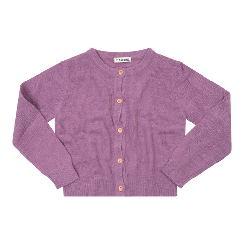 CarlijnQ CarlijnQ | Basics cardigan | Vestje Plum CarlijnQ CarlijnQ | Basics cardigan | Vestje Plum