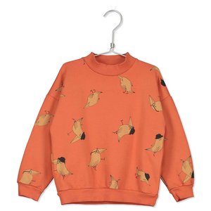 Lotie Kids Lotie Kids | Birds hat sweater | Dusty Orange