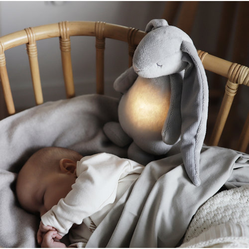 Moonie Moonie | The Humming Friend | Bunny Silver