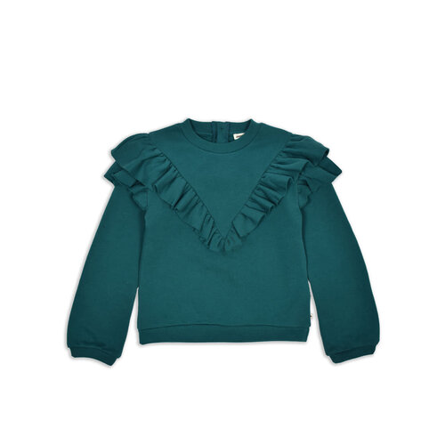 Ammehoela Ammehoela | Philou-21 | Sweater Spruced Up Ammehoela Ammehoela | Philou-21 | Sweater Spruced Up
