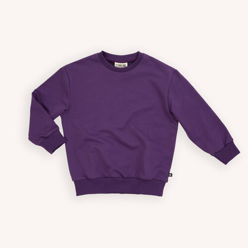 CarlijnQ CarlijnQ | Sweater with backprint | Dahlia CarlijnQ CarlijnQ | Sweater with backprint | Dahlia