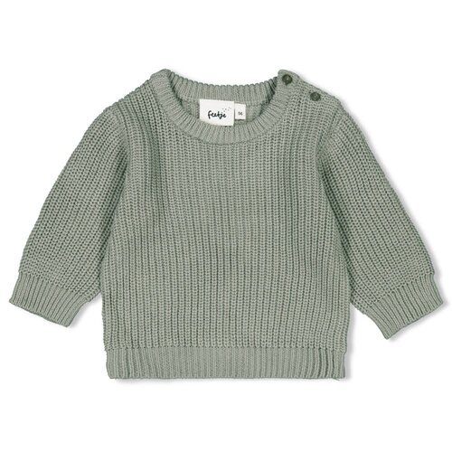 Feetje Feetje | Sweater gebreid | Little Forest Friends Mint Feetje Feetje | Sweater gebreid | Little Forest Friends Mint