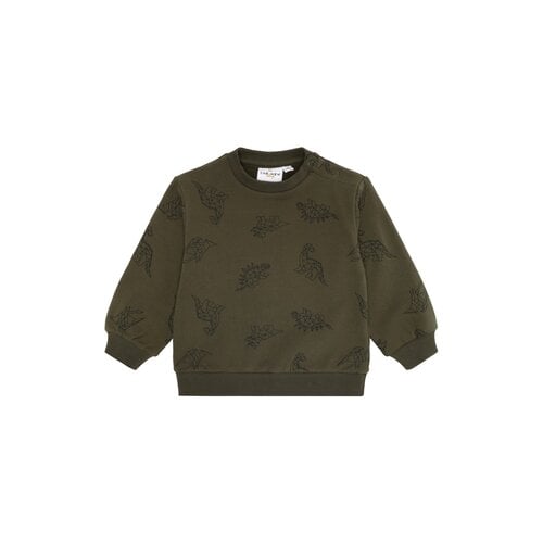 The New The New Siblings | Laurent Sweatshirt | Ivy Green Dino AOP