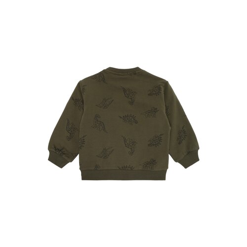 The New The New Siblings | Laurent Sweatshirt | Ivy Green Dino AOP