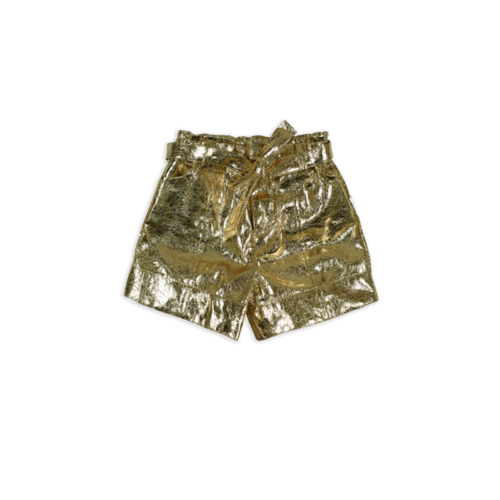 Ammehoela Ammehoela | Suus.PU.04 | Shorts Gold PU