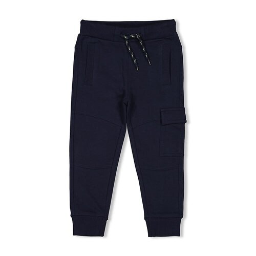 Sturdy Sturdy | Cargo broek | Coastal cool marine