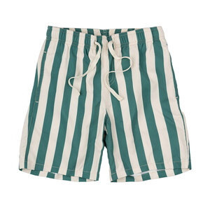 The New The New | Nibes Swim Shorts