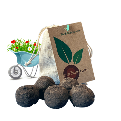 Zaadbom.com Zaadbommen Wildbloemenmix (5 stuks) Zaadbom.com Zaadbommen Wildbloemenmix (5 stuks)