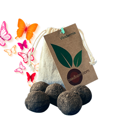 Zaadbom.com Zaadbommen Vlindermix (5 stuks) Zaadbom.com Zaadbommen Vlindermix (5 stuks)