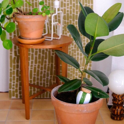 Potten en accessoires