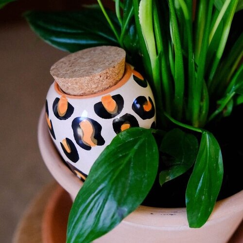 Pepin Pepin | Olla Luipaard Pepin Pepin | Olla Luipaard