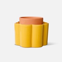 Pepin | Paula Mosterdgeel