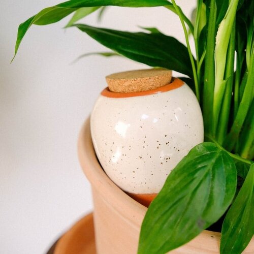 Pepin Pepin | Olla Wit Gespikkeld Pepin Pepin | Olla Wit Gespikkeld