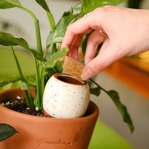 Pepin Pepin | Olla Wit Gespikkeld Pepin Pepin | Olla Wit Gespikkeld