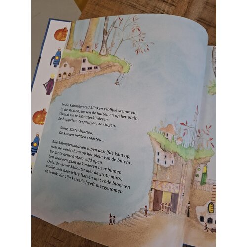 Boeken Lichtjes voor Sint-Maarten Boeken Lichtjes voor Sint-Maarten