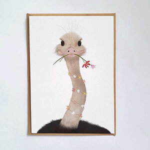 Getekenddoorzusje Getekenddoorzusje | Kaart | Struisvogel Getekenddoorzusje Getekenddoorzusje | Kaart | Struisvogel