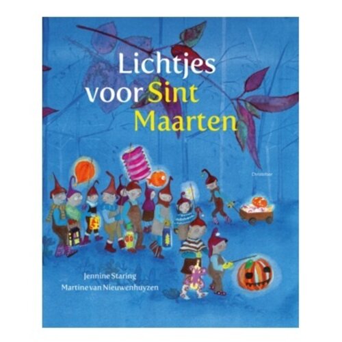 Boeken Lichtjes voor Sint-Maarten Boeken Lichtjes voor Sint-Maarten