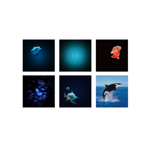 Kidywolf Kidywolf | Kidystar Beeldprojector | Oceanen en zeeën Kidywolf Kidywolf | Kidystar Beeldprojector | Oceanen en zeeën