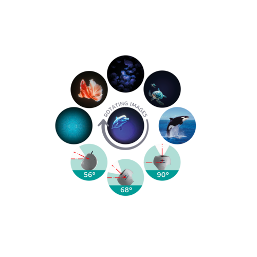 Kidywolf Kidywolf | Kidystar Beeldprojector | Oceanen en zeeën Kidywolf Kidywolf | Kidystar Beeldprojector | Oceanen en zeeën